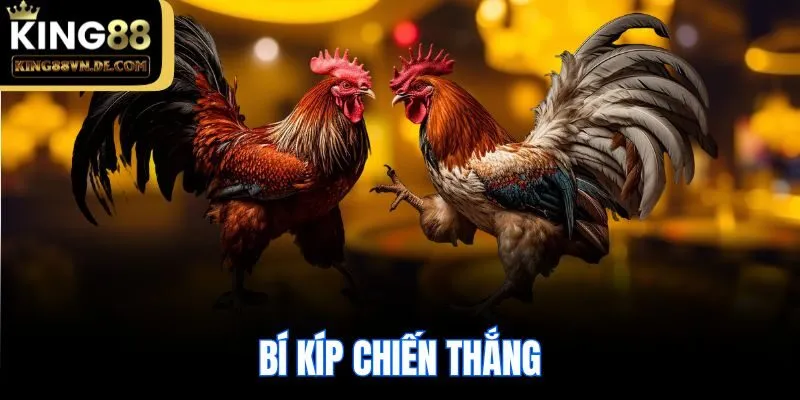 Bí kíp chiến thắng
