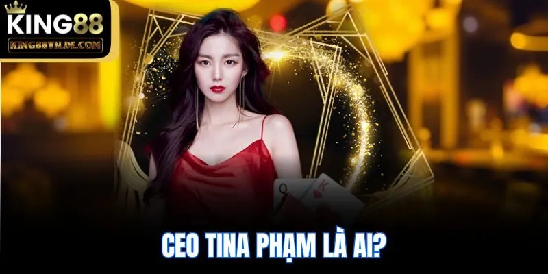 CEO Tina Phạm là ai?