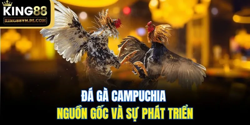 Đá gà Campuchia - Nguồn gốc và sự phát triển