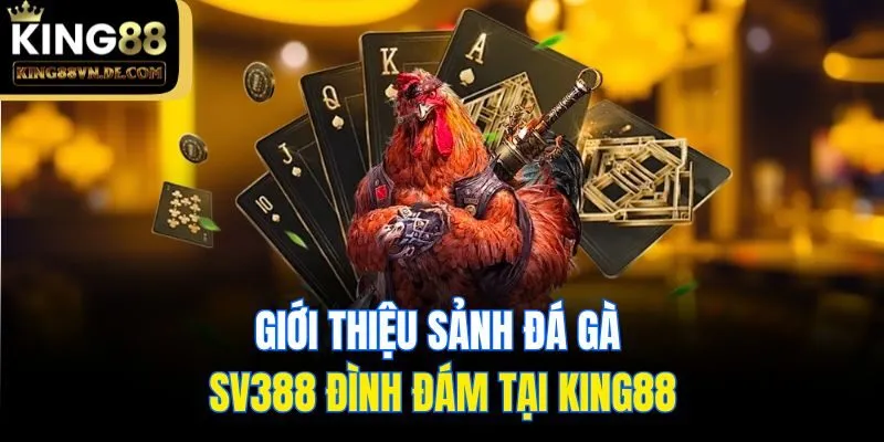 Giới thiệu sảnh Đá gà SV388 đình đám tại King88