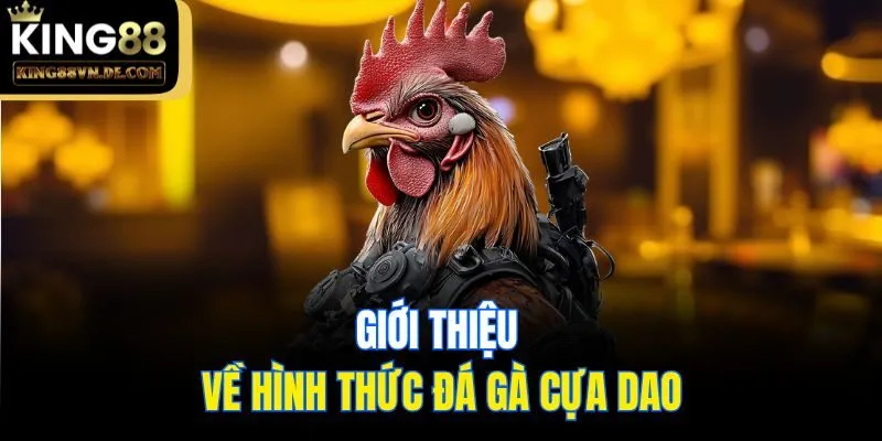 Giới thiệu về hình thức đá gà cựa dao