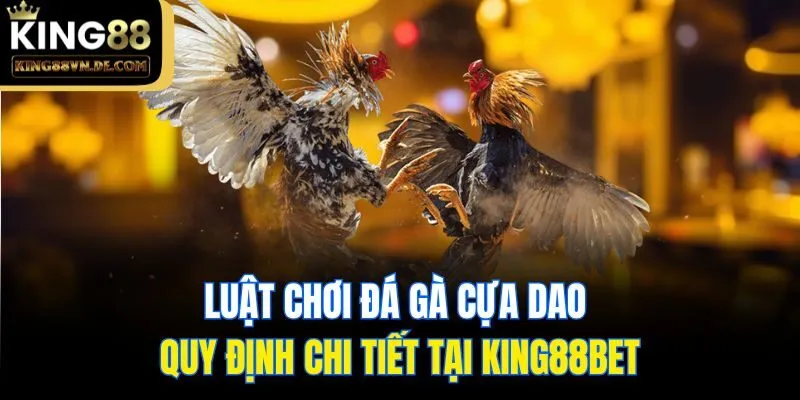 Luật chơi đá gà cựa dao quy định chi tiết tại King88bet